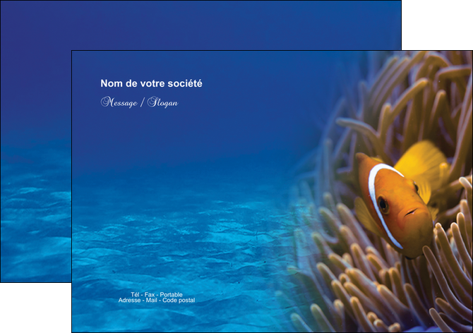 exemple flyers paysage belle photo nemo poisson MLIGCH33451