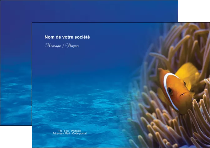 exemple flyers paysage belle photo nemo poisson MLIGLU33451