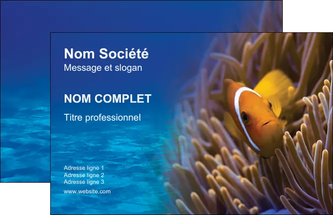 creer modele en ligne carte de visite paysage belle photo nemo poisson MLIGLU33467