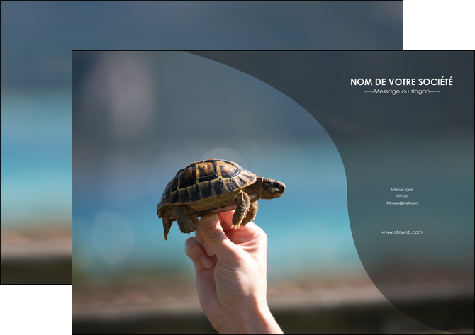 maquette en ligne a personnaliser affiche animal tortue animal parc animaux MLGI33671