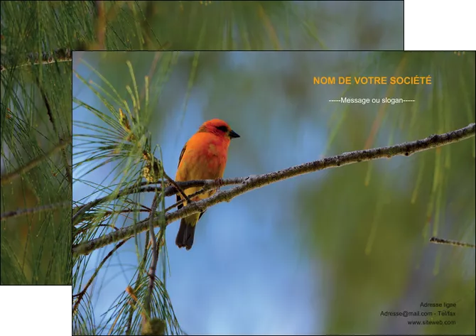 faire affiche paysage nature parc naturel animaux parc naturel des oiseaux MIFLU34265