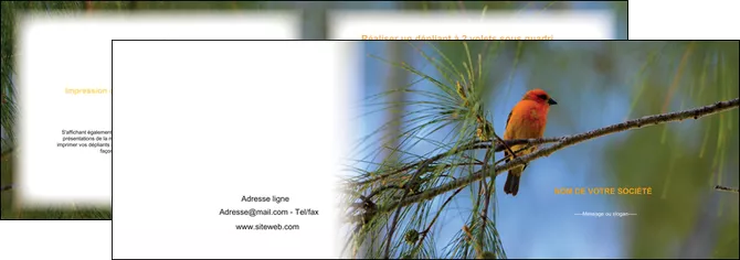 creation graphique en ligne depliant 2 volets  4 pages  paysage nature parc naturel animaux parc naturel des oiseaux MID34271