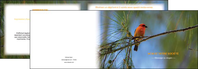 creation graphique en ligne depliant 2 volets  4 pages  paysage nature parc naturel animaux parc naturel des oiseaux MIDBE34273