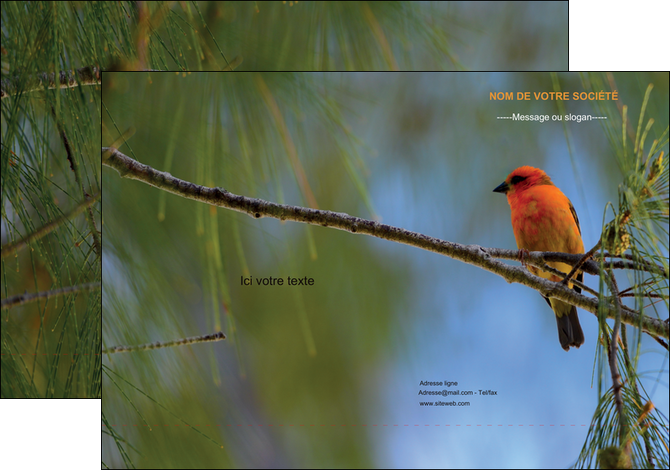 creation graphique en ligne pochette a rabat paysage nature parc naturel animaux parc naturel des oiseaux MIFBE34275