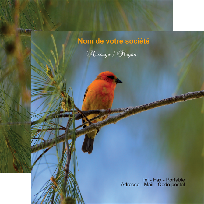 creation graphique en ligne flyers tourisme  nature parc naturel animaux parc naturel des oiseaux MIDBE34285