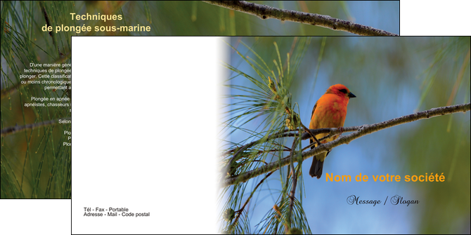 impression depliant 2 volets  4 pages  paysage nature parc naturel animaux parc naturel des oiseaux MIS34287
