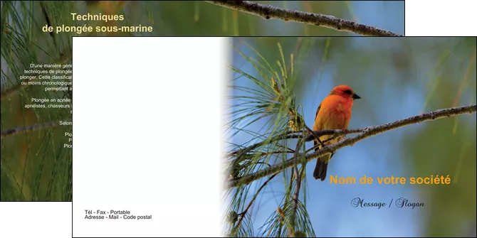 impression depliant 2 volets  4 pages  paysage nature parc naturel animaux parc naturel des oiseaux MIFLU34287
