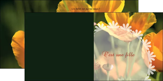 imprimer depliant 2 volets  4 pages  faire part de naissance carte de naissance carte pour naissance MID34405