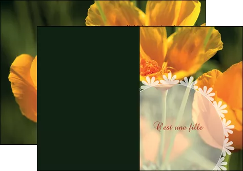 creation graphique en ligne depliant 2 volets  4 pages  faire part de naissance carte de naissance carte pour naissance MIFCH34411