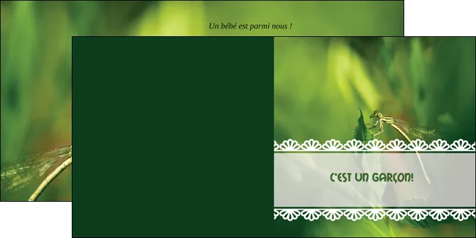 imprimerie depliant 2 volets  4 pages  faire part de naissance carte pour naissance feuilles MLGI34465