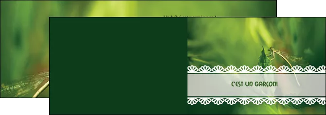 modele depliant 2 volets  4 pages  faire part de naissance carte pour naissance feuilles MIFCH34473