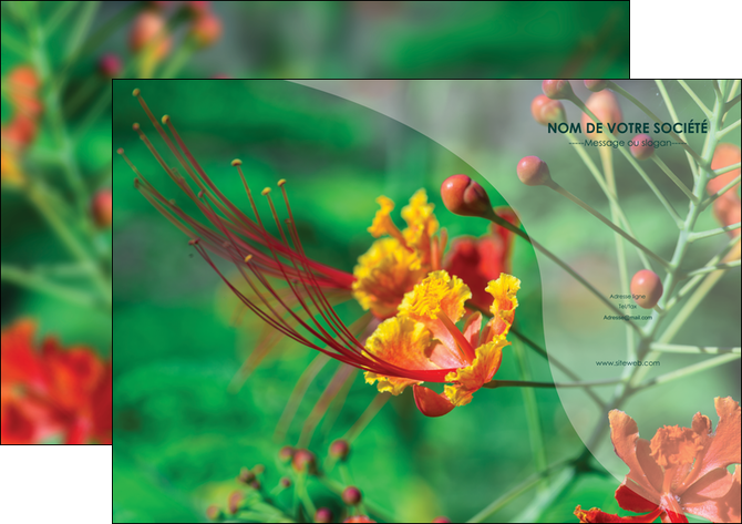 imprimerie affiche fleuriste et jardinage nature colore couleurs MLGI34907