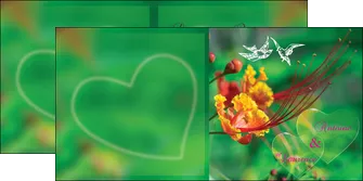 exemple depliant 2 volets  4 pages  nature colore couleur MLGI34941