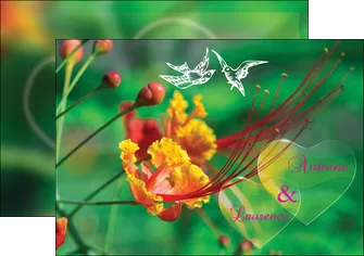 modele en ligne flyers nature colore couleur MLGI34943