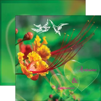 exemple flyers nature colore couleur MLGI34947