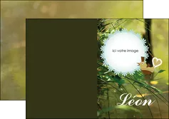 exemple depliant 2 volets  4 pages  faire part de naissance vert nature MLIGLU35355