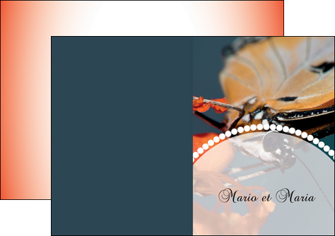 realiser depliant 2 volets  4 pages  papillon insecte nature MLGI35731