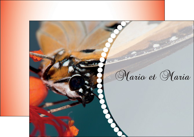 personnaliser modele de flyers papillon insecte nature MLGI35733