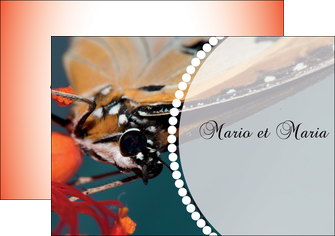 personnaliser modele de flyers papillon insecte nature MLGI35733