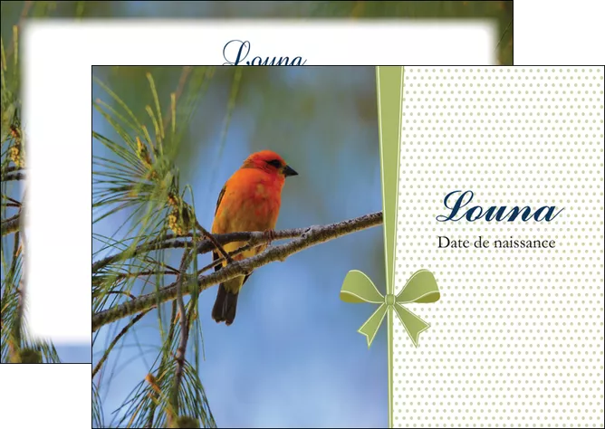 cree flyers oiseau nature arbre MIS36345