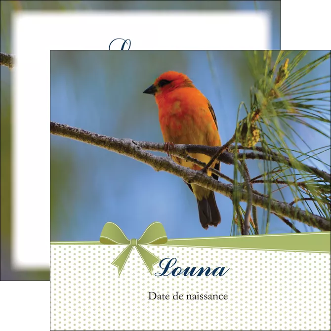 personnaliser modele de flyers oiseau nature arbre MIFLU36349