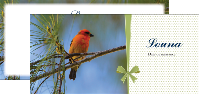 imprimer flyers oiseau nature arbre MIDCH36351