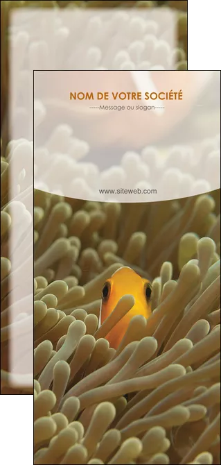 impression flyers animal nemo macro original MLIGLU36443