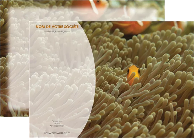 personnaliser maquette affiche animal nemo macro original MLGI36445
