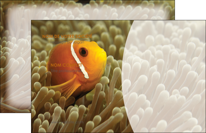 creer modele en ligne carte de visite paysage belle photo nemo poisson MID36847