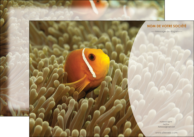 maquette en ligne a personnaliser affiche paysage belle photo nemo poisson MLIP36867