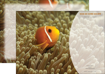 maquette en ligne a personnaliser affiche paysage belle photo nemo poisson MIDCH36867