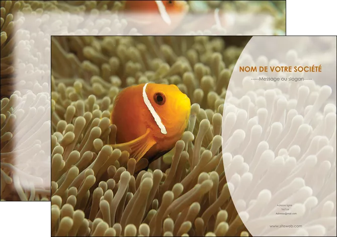 modele en ligne affiche paysage belle photo nemo poisson MLGI36869