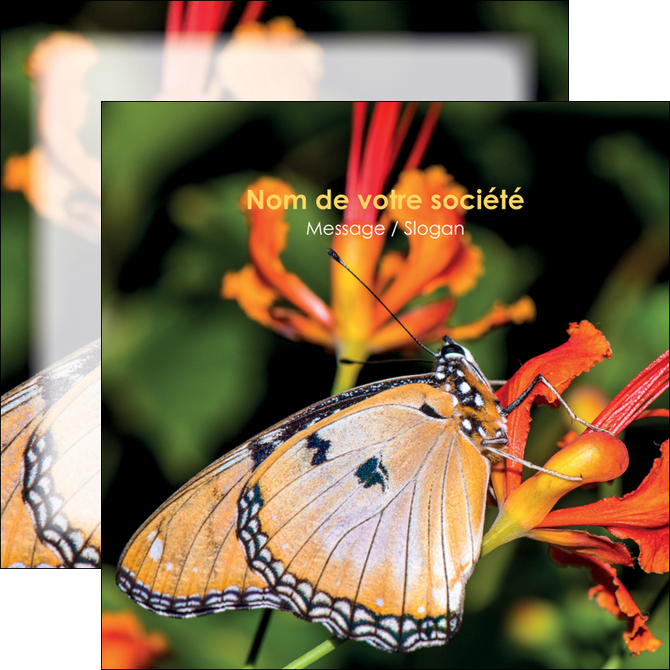modele flyers belle photo de papillon macro couleur MLGI36977