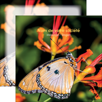 modele flyers belle photo de papillon macro couleur MLGI36977