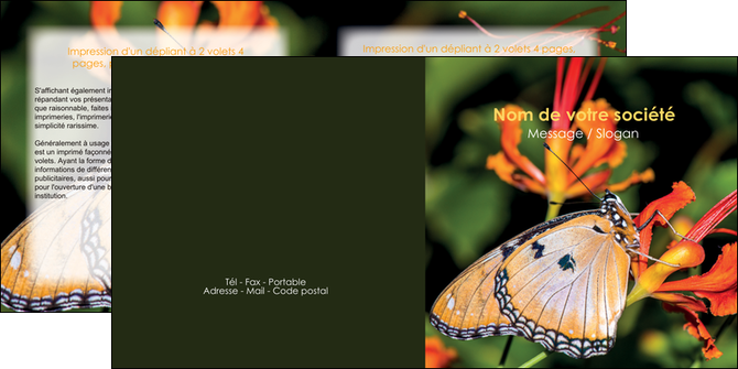 exemple depliant 2 volets  4 pages  belle photo de papillon macro couleur MLGI36979