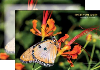 realiser affiche belle photo de papillon macro couleur MLGI36985
