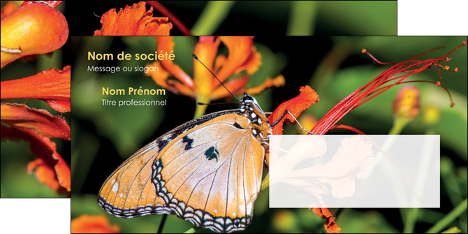 personnaliser modele de enveloppe belle photo de papillon macro couleur MLGI36987