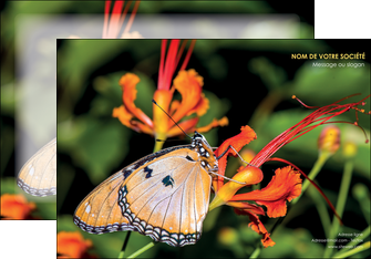 imprimerie affiche belle photo de papillon macro couleur MLGI36989