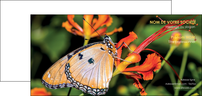 impression carte de correspondance belle photo de papillon macro couleur MLGI36993