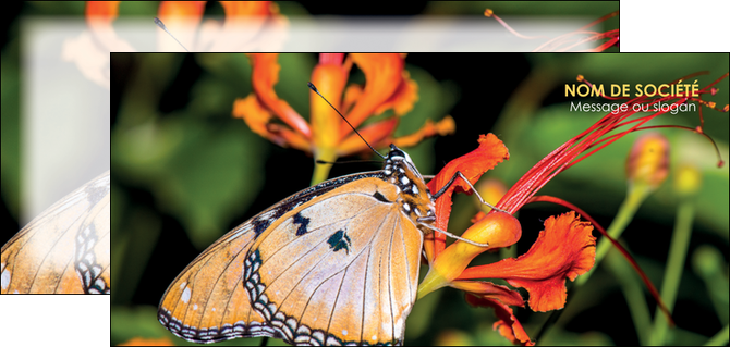 imprimer flyers belle photo de papillon macro couleur MLGI36995