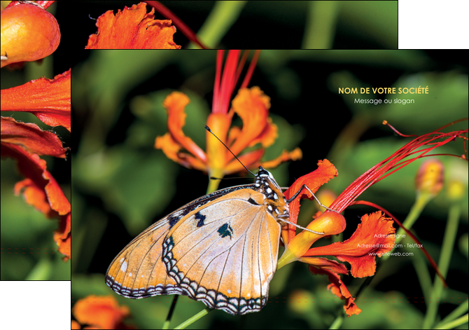cree pochette a rabat belle photo de papillon macro couleur MLGI37003