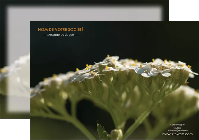 exemple flyers fleuriste et jardinage plantes cactus fleurs MLGI37655