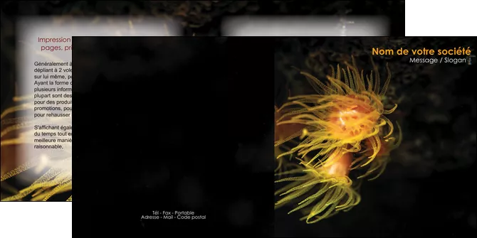 imprimer depliant 2 volets  4 pages  animal meduse fond de mer plongee MID37775