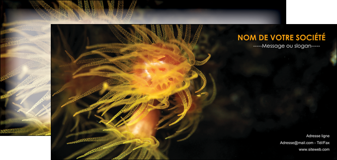personnaliser modele de flyers animal meduse fond de mer plongee MLIP37777