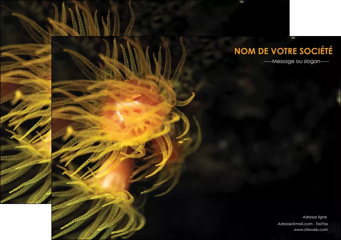 faire flyers animal meduse fond de mer plongee MLGI37783