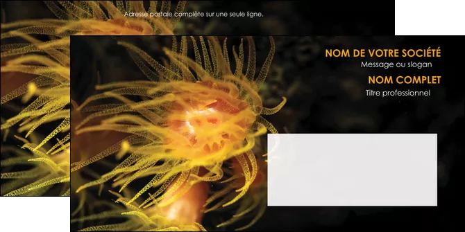 impression enveloppe animal meduse fond de mer plongee MLGI37789
