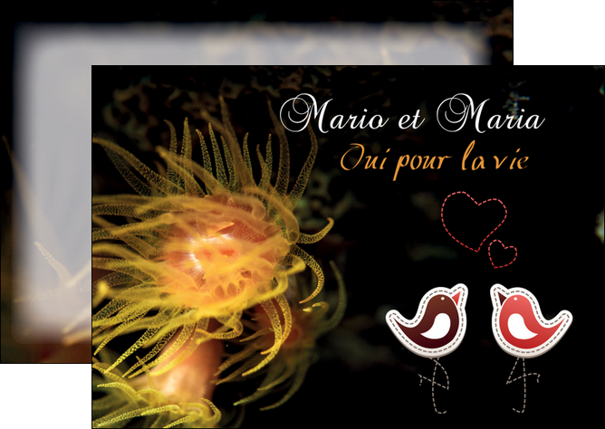 personnaliser maquette flyers meduse sous marine plongee MLGI37813