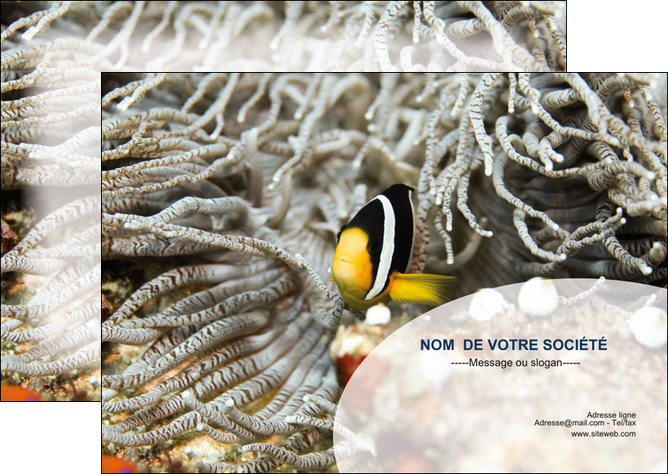 modele flyers animal poisson plongee nature MIF37895