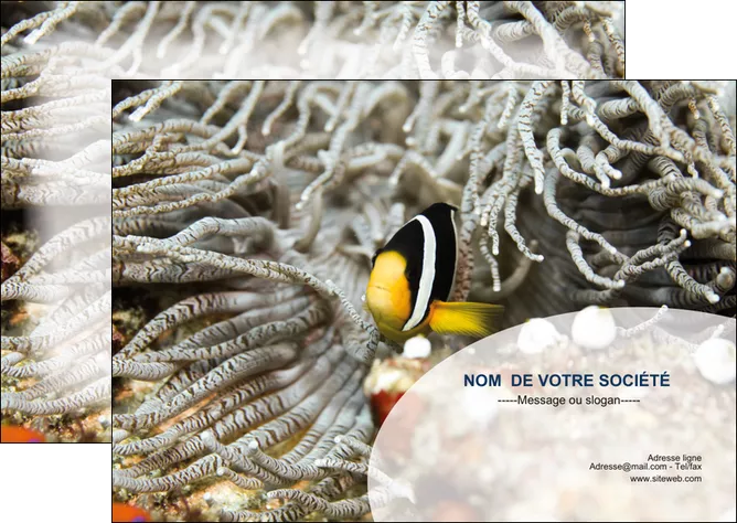 modele flyers animal poisson plongee nature MID37895