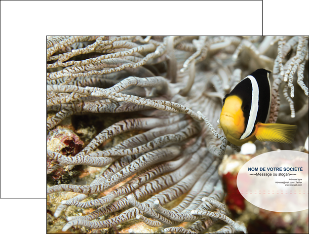 personnaliser maquette pochette a rabat animal poisson plongee nature MIDCH37917